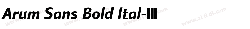 Arum Sans Bold Ital字体转换